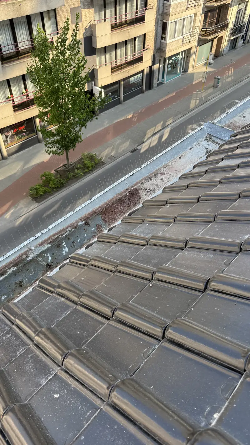 De dakgoot van een appartementsgebouw, leeggezogen en gereinigd.