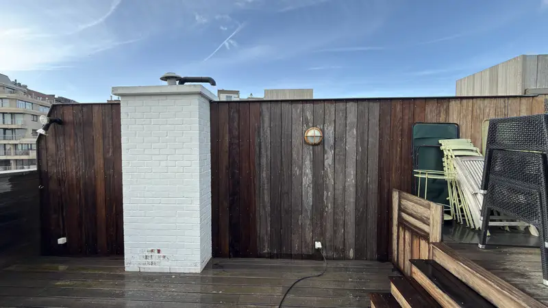 Reiniging van een dakterras, foto 2