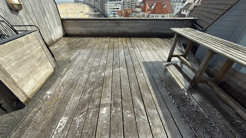 Reiniging van een dakterras, foto 3