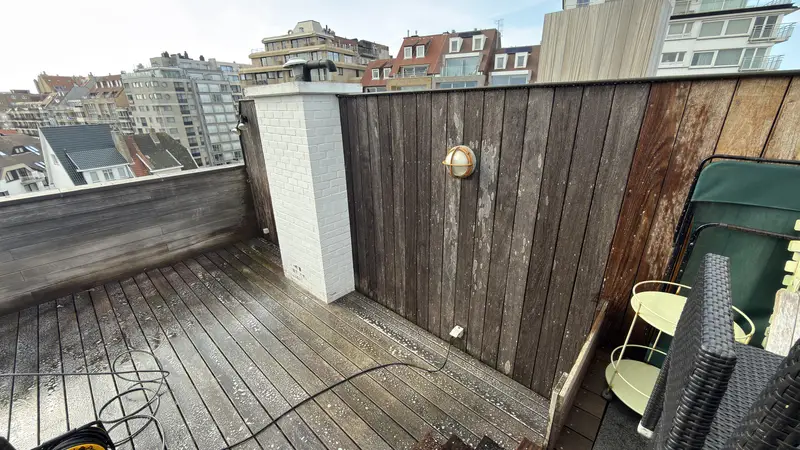 Reiniging van een dakterras, foto 4