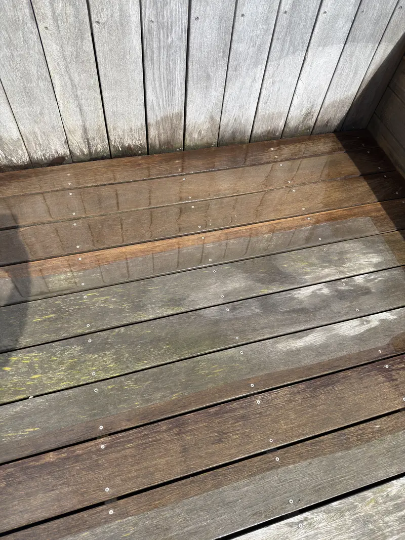 Reiniging van een dakterras, foto 7