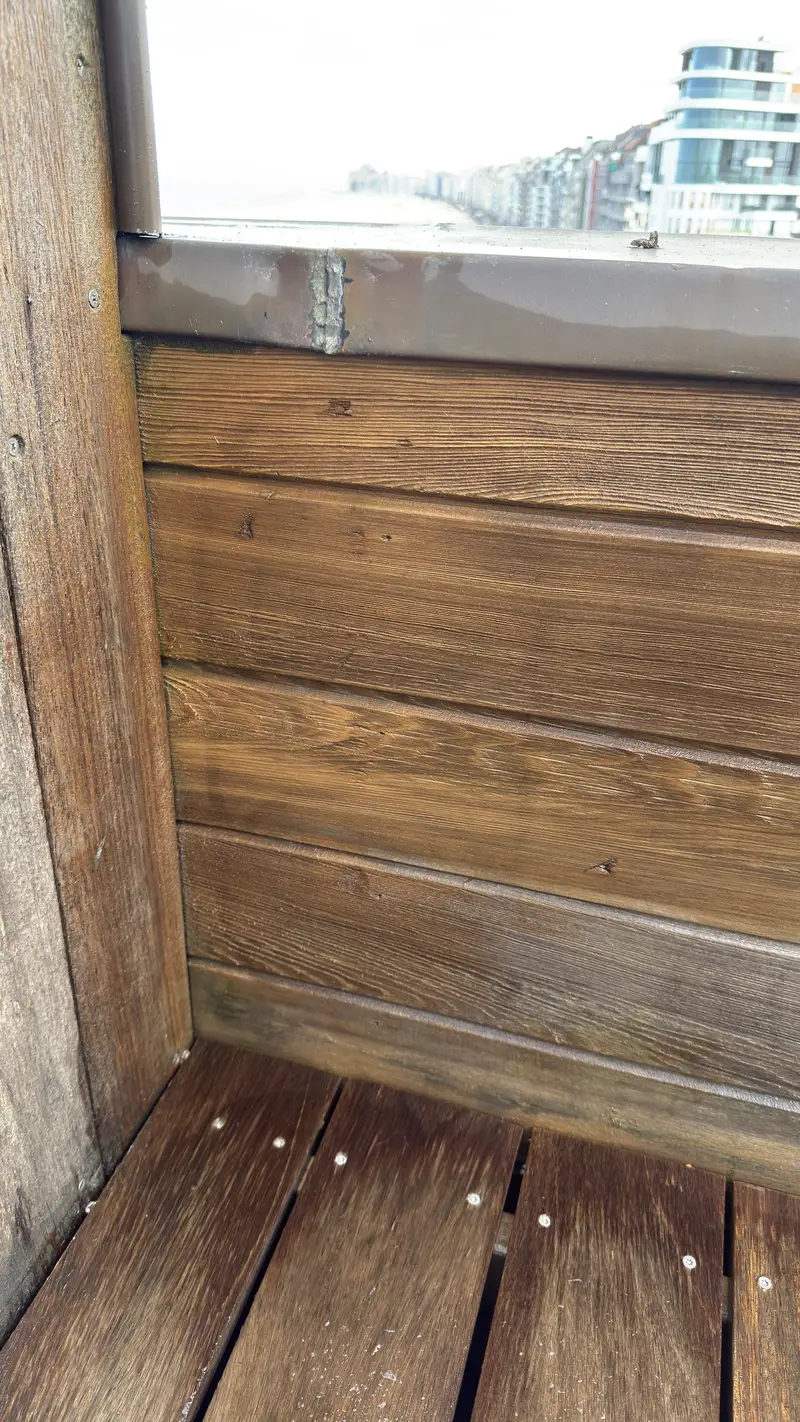 Reiniging van een dakterras, foto 9