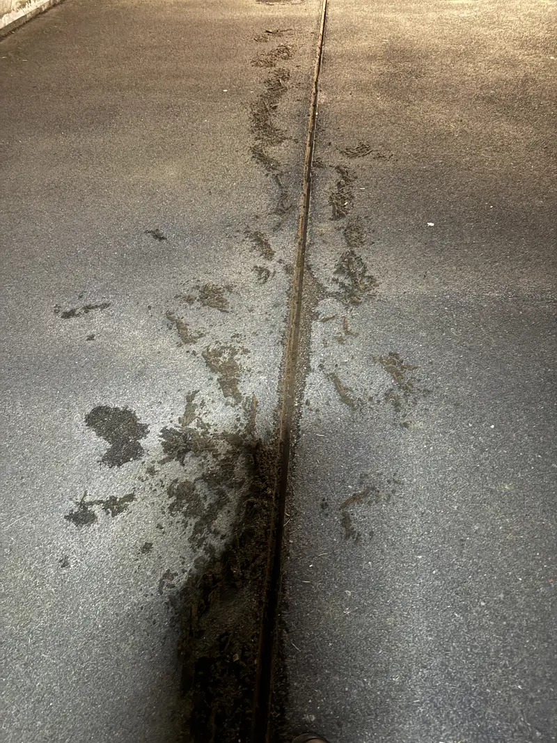 Reiniging van een gemeenschappelijke garage, foto 3