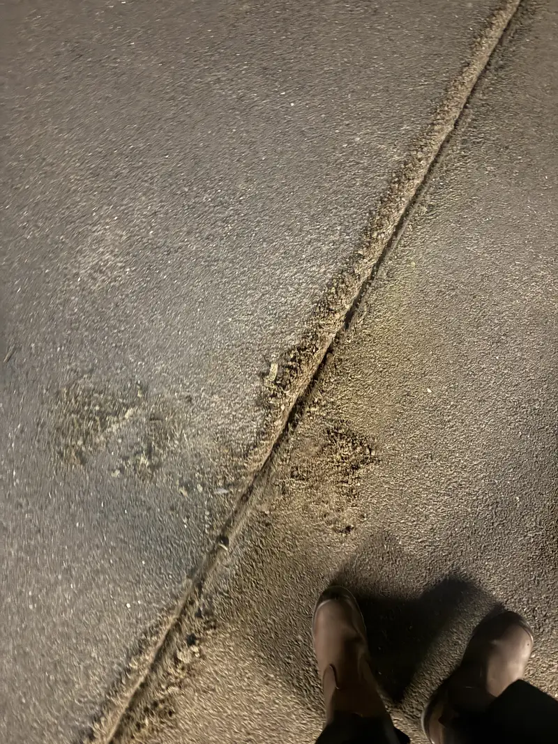 Reiniging van een gemeenschappelijke garage, foto 5