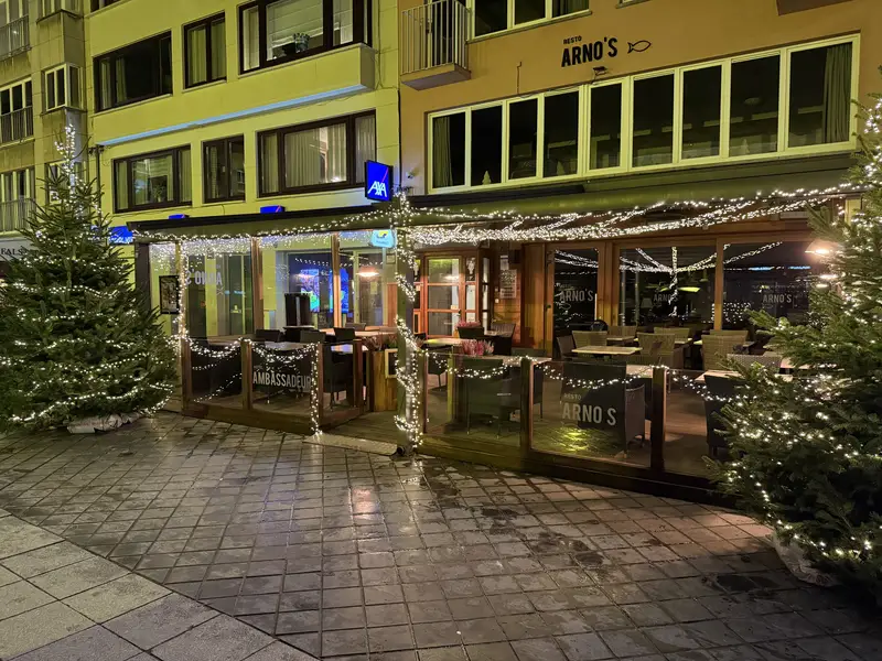 Kerstbomen en verlichting aan een terras op het Wapenplein.