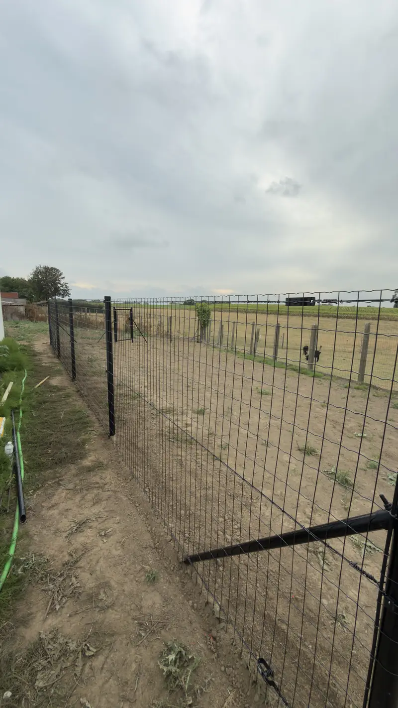 Plaatsing van een draadomheining met poort, in samenwerking met een partner.