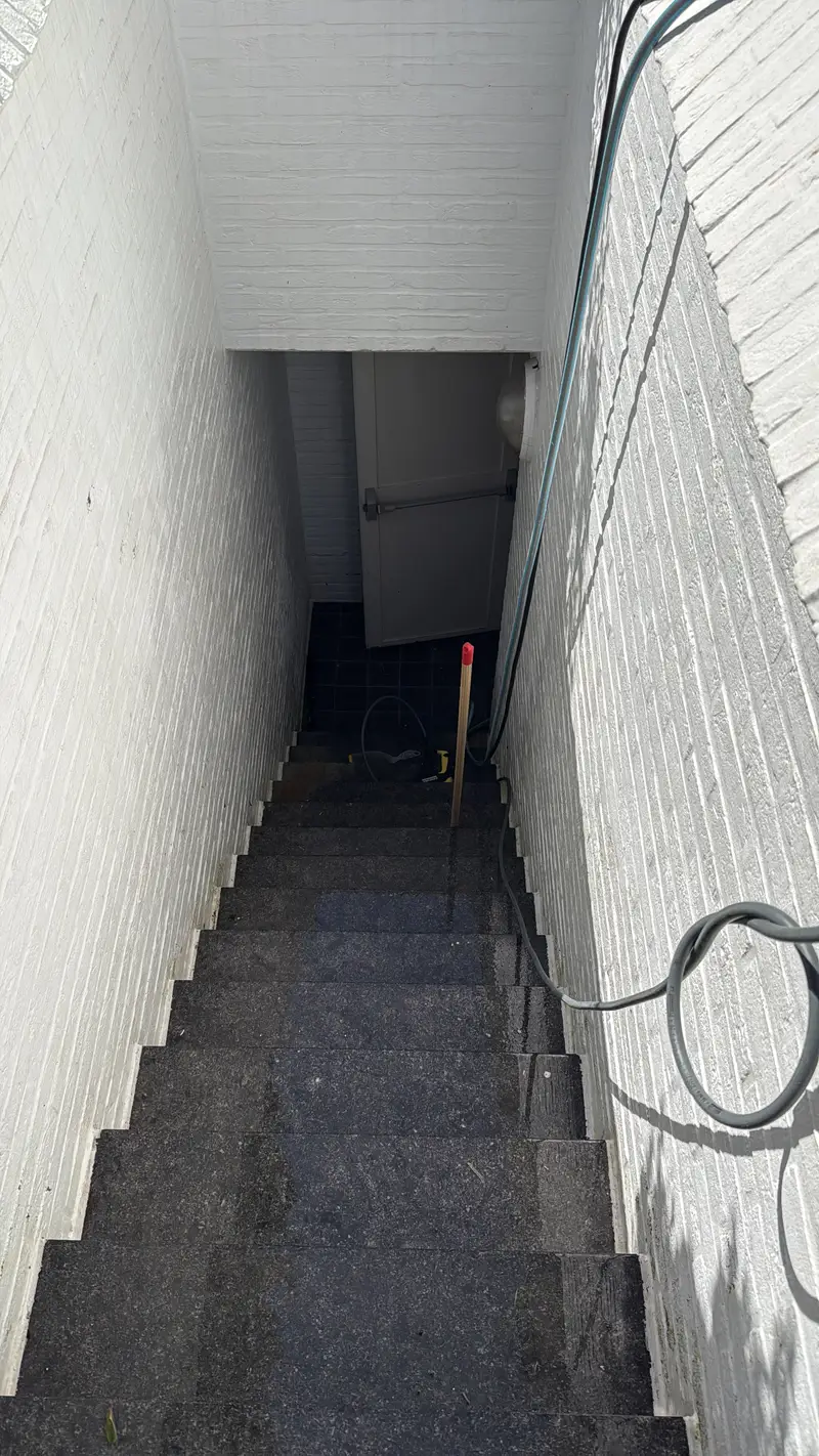 Reiniging van oprit en buitentrap, foto 2