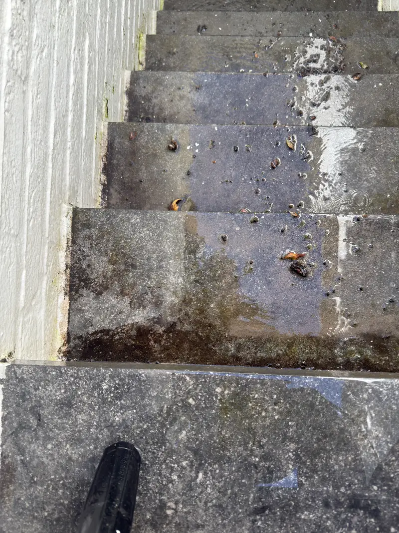 Reiniging van oprit en buitentrap, foto 3