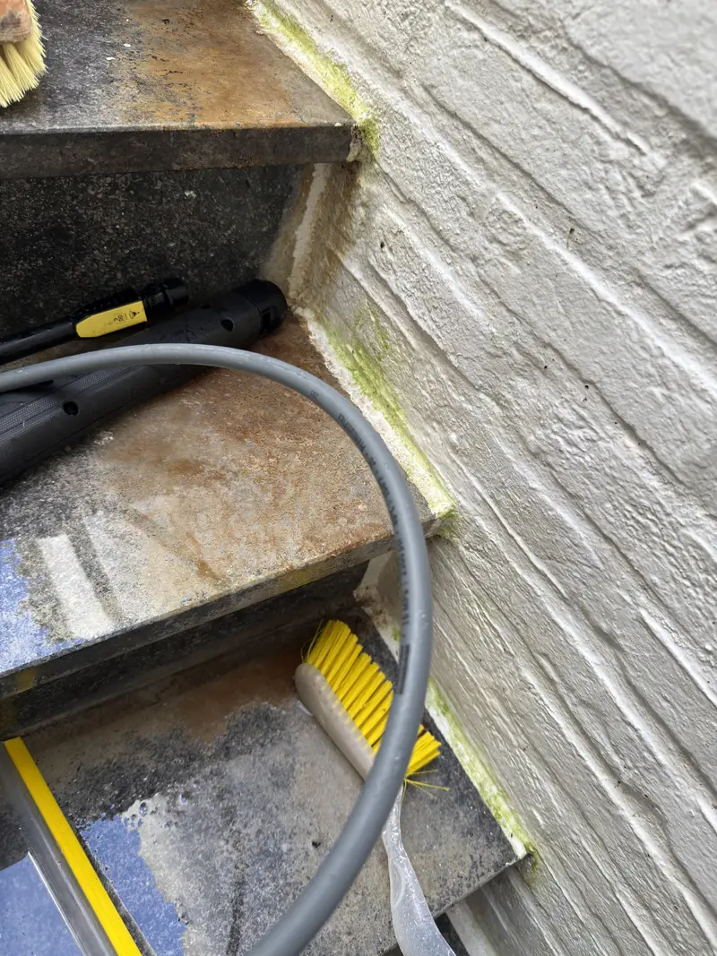 Reiniging van oprit en buitentrap, foto 9
