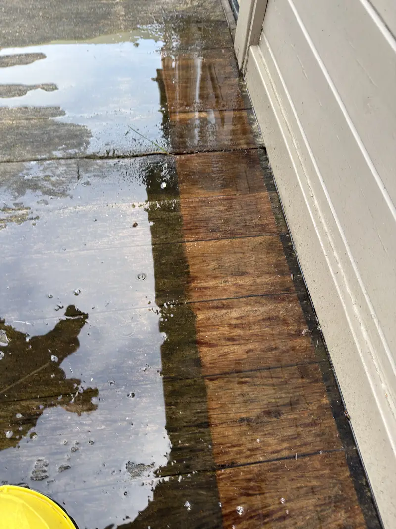 Reiniging van tuin en terras in Oostende, foto 2