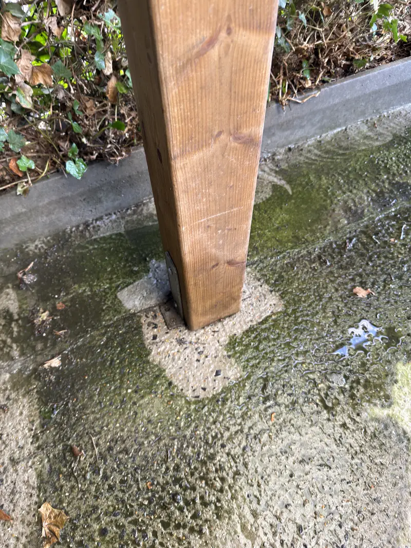 Reiniging van tuin en terras in Oostende, foto 6