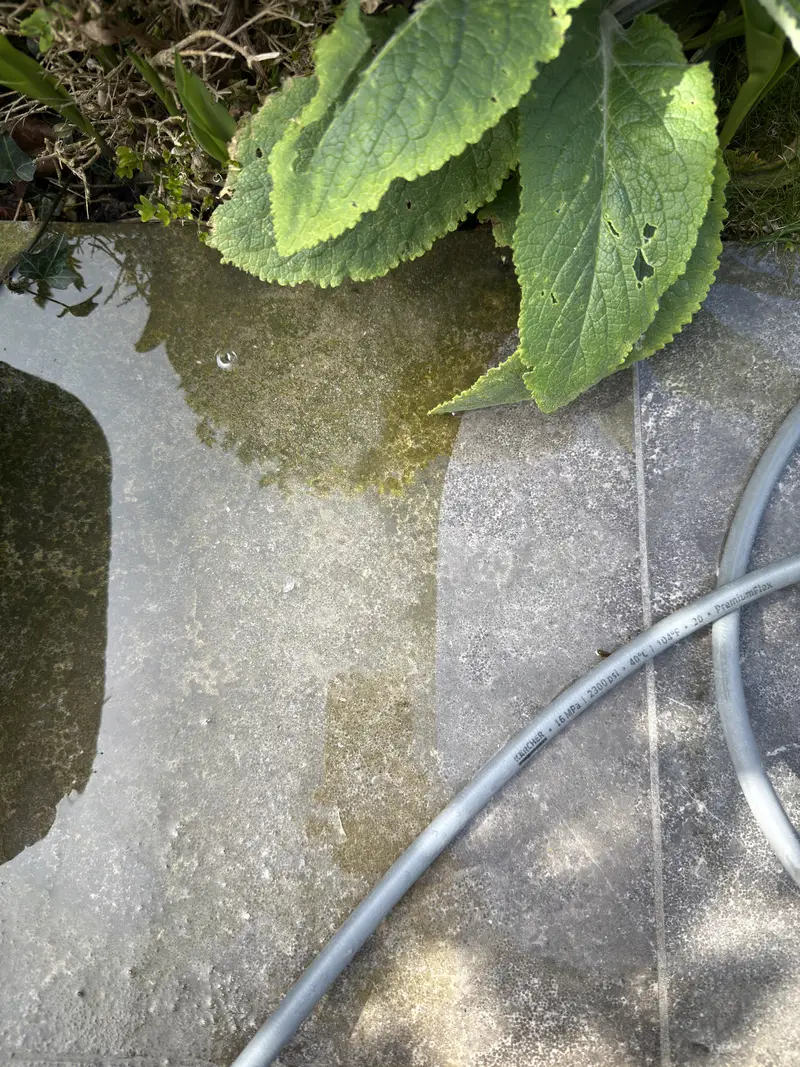 Volledige buitenreiniging, foto 5