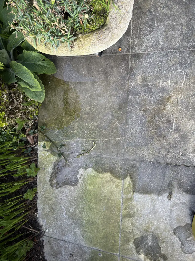 Volledige buitenreiniging, foto 6