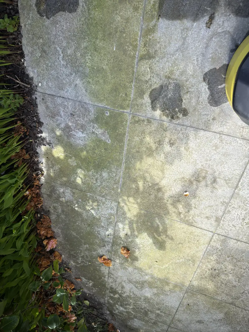 Volledige buitenreiniging, foto 7
