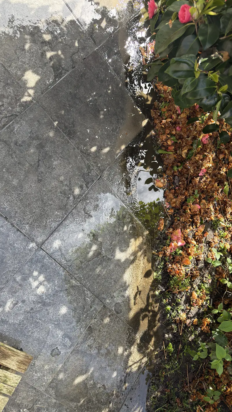 Volledige buitenreiniging, foto 11